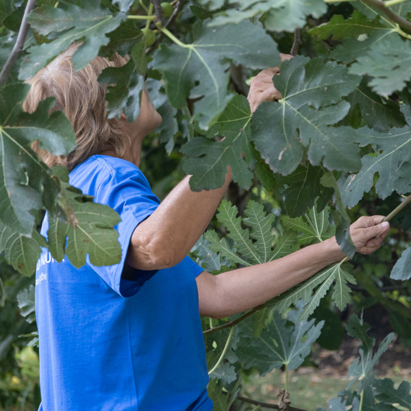 team building intelligenza emotiva