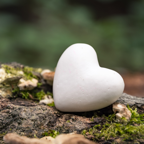 Cuore in Natura
