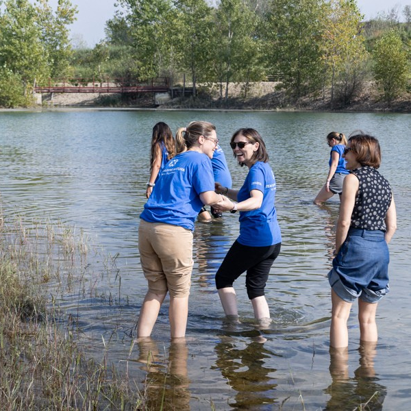Team Building Outdoor
